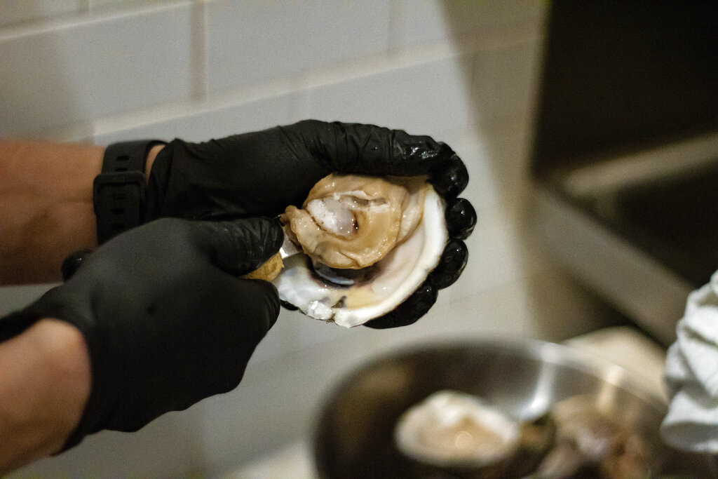 Fledgling Georgia oyster fishery held back by limits | News, Sports ...